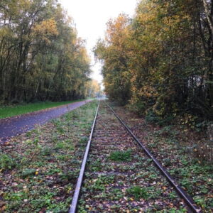 Herfstbos met fietspad en oude spoorlijn