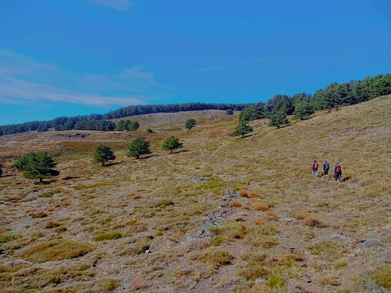 Wandelaars op heuvelachtig landschap met blauwe lucht.