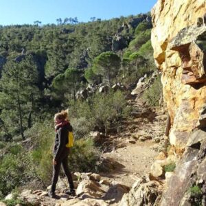 Vrouw wandelt op bosrijk bergpad bij zonnig weer.