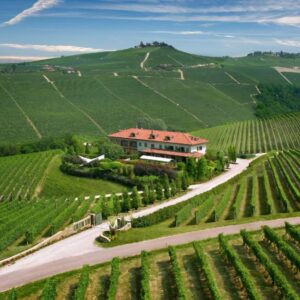 Landschap met wijngaarden en huis in heuvels