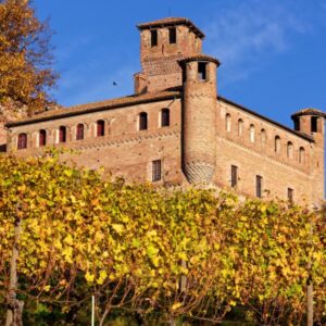 Middeleeuws kasteel boven wijngaarden in de herfstzon.