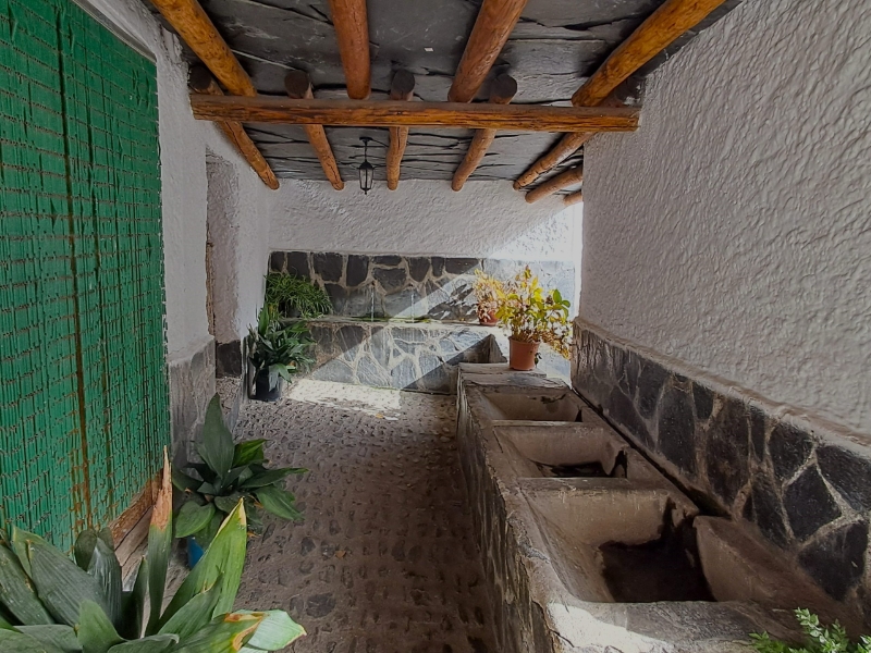 Rustieke patio met planten en stenen muur