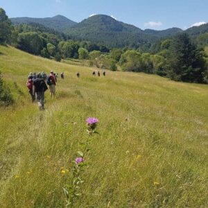 Wandelaars op groene heuvel met bloemen en bomen.