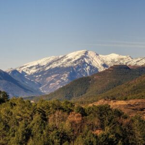 Besneeuwde bergtoppen met groene bossen.