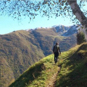 Wandelaar met stokken op bergpad in de herfst