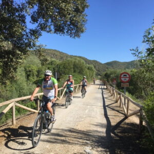 Groep fietsers op zonnig bospad met verkeersbord.