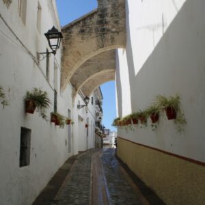Smal steegje met boog en planten