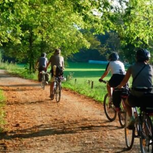 Groep fietsers op bosrijke landweg in de zomer
