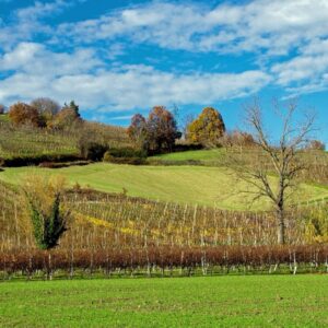 Italië | Fietsvakantie door Emilia-Romagna