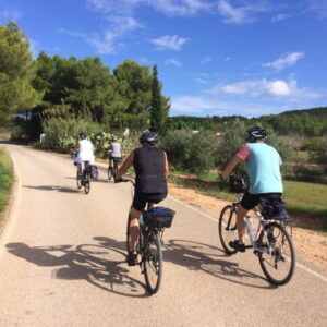 Groep fietsers op landelijke weg in de natuur.