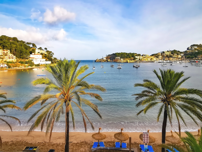 Zonnig strand met palmbomen en zeezicht.