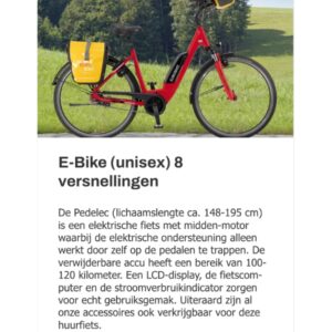 Rode unisex elektrische fiets met fietstassen op platteland.
