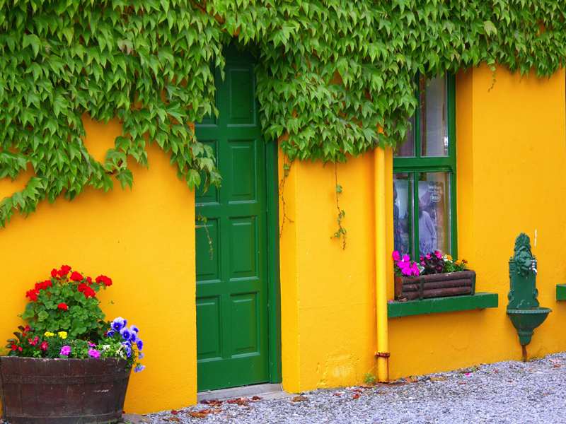 Gele muur met groene deur en kleurrijke bloemen