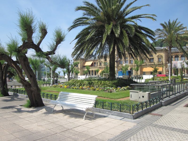 Park met palmbomen en bankje in de stad