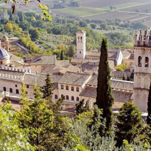 Middeleeuws stadsgezicht met torens en groene omgeving