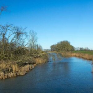 Rustiek Nederlands landschap met rivier en bomen