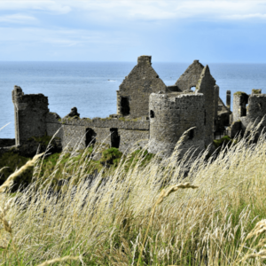 Oude kasteelruïne aan zee in graslandschap