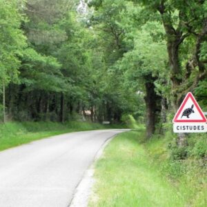 Waarschuwingsbord schildpadden langs bosweg.