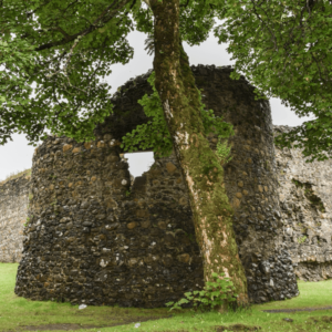 Middeleeuwse stenen ruïne omringd door groene bomen