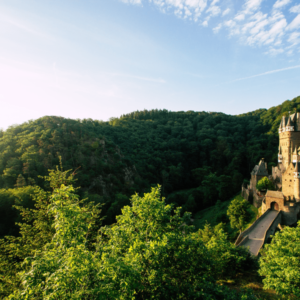 Middeleeuws kasteel omringd door groene bossen bij zonsondergang.