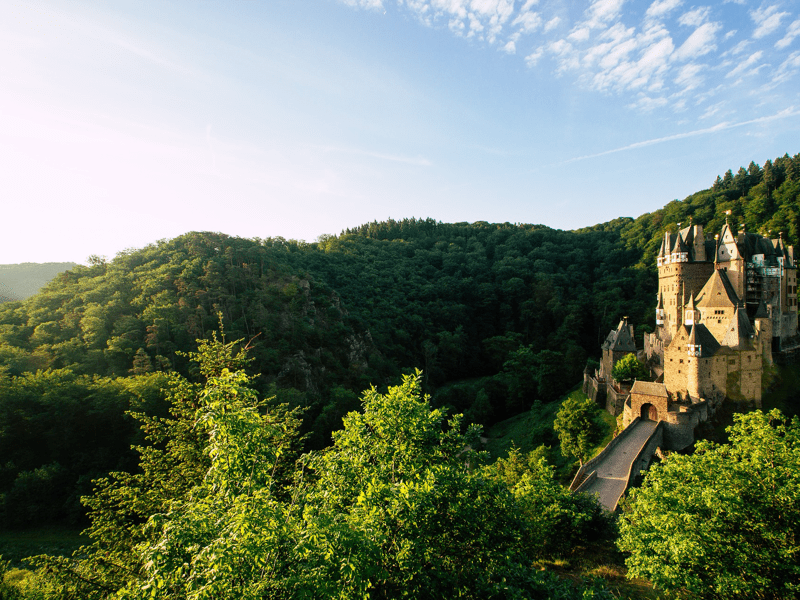 Middeleeuws kasteel omringd door groene bossen bij zonsondergang.