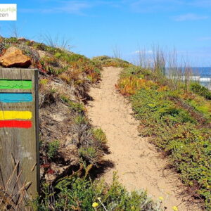 Kustpad met kleurrijke routebordjes en oceaanzicht