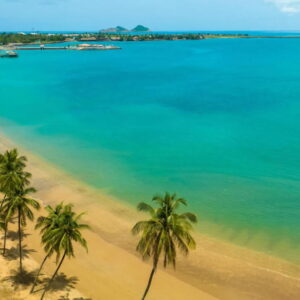 Tropisch strand met palmbomen en helderblauw water.