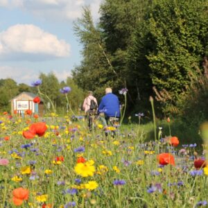 Twee fietsers op pad langs wilde bloemenveld