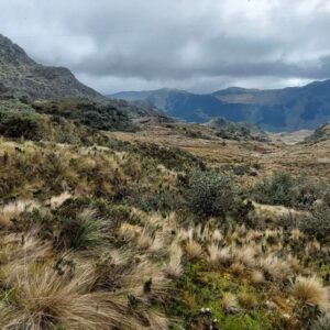 Bergachtig landschap met gras en bewolkte hemel
