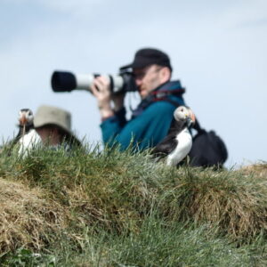 Fotograaf met papegaaiduikers op grasheuvel.