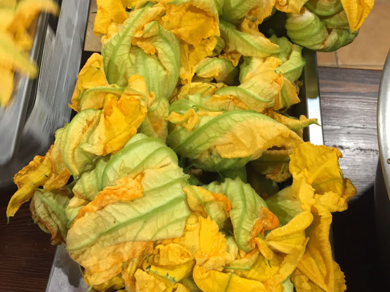 Gele courgettebloemen op zwarte achtergrond.