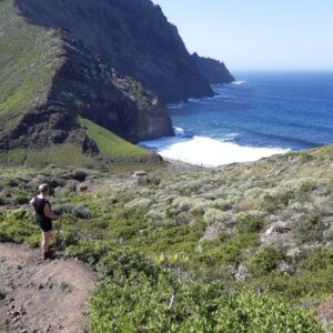 Wandelaar op groen pad langs rotsachtige kust.