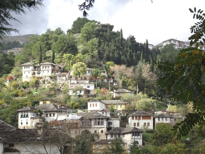 Huisjes op heuvel met groene bomen en zonlicht.