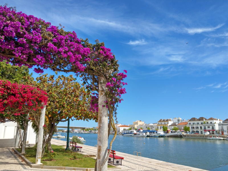 Bloemenboog langs rivier met boten en blauwe lucht.