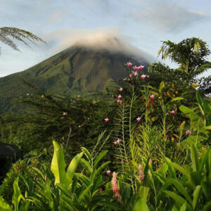 Groene vulkaan met bloemen en wolken