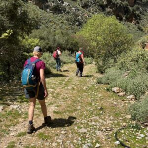 Wandelaars op een bosachtig bergpad in zonnig weer.
