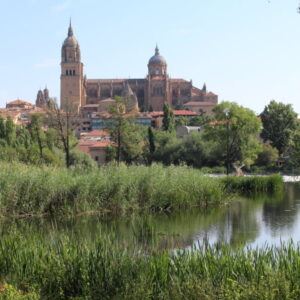 Panorama van oude kathedraal en rivierlandschap, Salamanca.