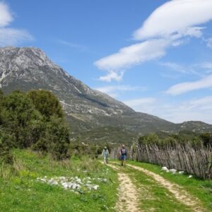 Wandelaars op bergpad onder blauwe lucht