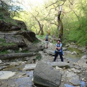 Wandelaars op rotsachtig pad in groene, bosrijke omgeving.